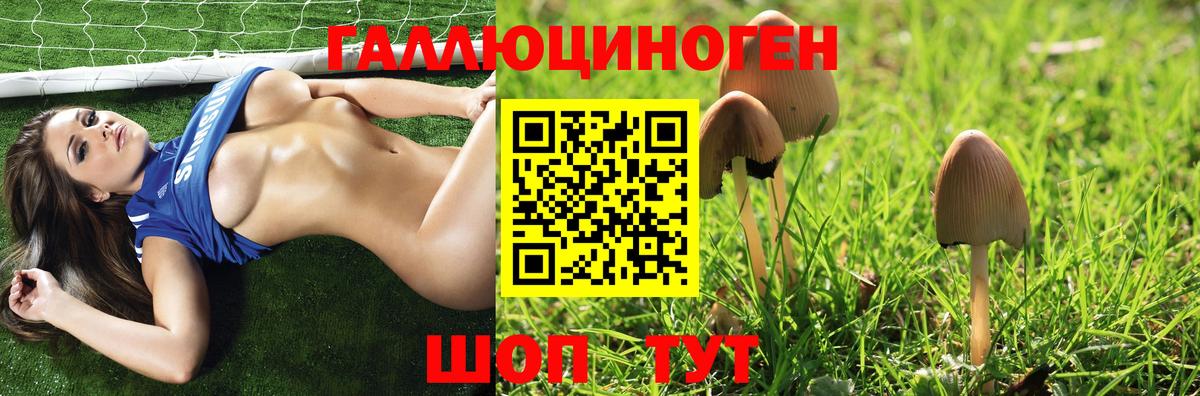 Галлюциногенные грибы Psilocybe Тутаев
